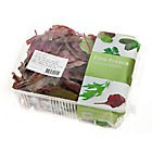 Fino Listy řepy Býčí krev čerstv. 1x125g